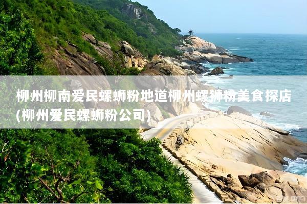 柳州柳南爱民螺蛳粉地道柳州螺狮粉美食探店(柳州爱民螺蛳粉公司)