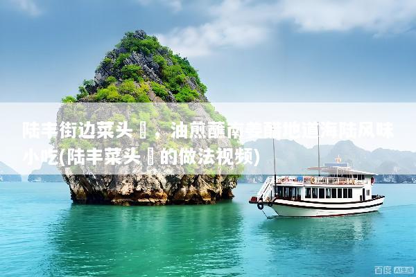 陆丰街边菜头粿，油煎蘸南姜醋地道海陆风味小吃(陆丰菜头粿的做法视频)