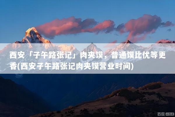 西安「子午路张记」肉夹馍，普通馍比优等更香(西安子午路张记肉夹馍营业时间)