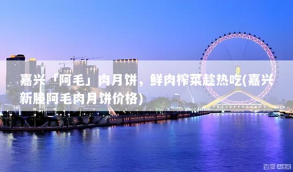 嘉兴「阿毛」肉月饼，鲜肉榨菜趁热吃(嘉兴新塍阿毛肉月饼价格)
