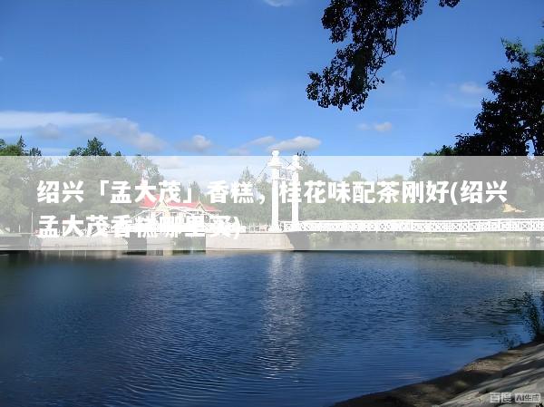 绍兴「孟大茂」香糕，桂花味配茶刚好(绍兴孟大茂香糕哪里买)