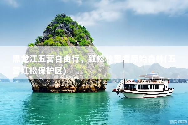 黑龙江五营自由行，红松林里看原始森林(五营红松保护区)