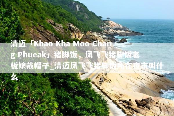 清迈「Khao Kha Moo Chang Phueak」猪脚饭，凤飞飞猪脚饭老板娘戴帽子_清迈凤飞飞猪脚饭所在夜市叫什么
