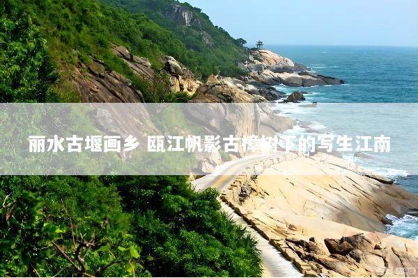 丽水古堰画乡 瓯江帆影古樟树下的写生江南
