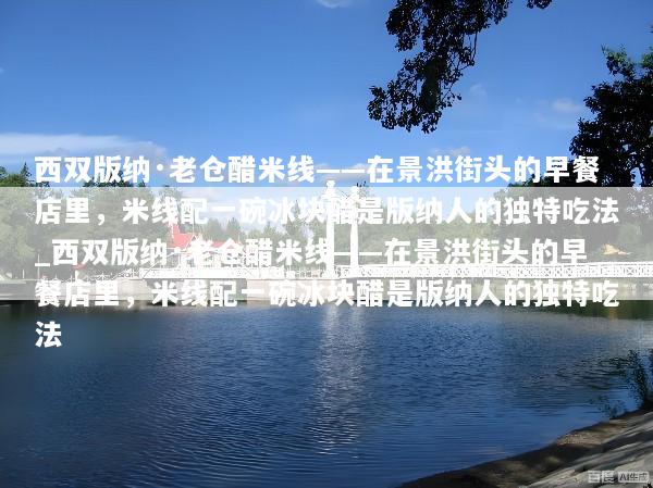 西双版纳·老仓醋米线——在景洪街头的早餐店里，米线配一碗冰块醋是版纳人的独特吃法_西双版纳·老仓醋米线——在景洪街头的早餐店里，米线配一碗冰块醋是版纳人的独特吃法