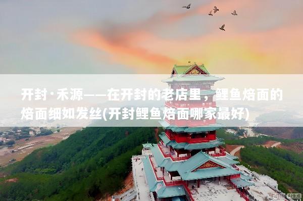 开封·禾源——在开封的老店里，鲤鱼焙面的焙面细如发丝(开封鲤鱼焙面哪家最好)