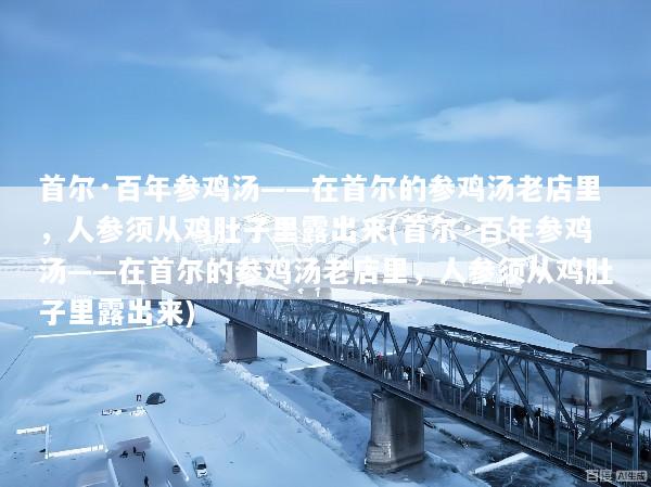 首尔·百年参鸡汤——在首尔的参鸡汤老店里，人参须从鸡肚子里露出来(首尔·百年参鸡汤——在首尔的参鸡汤老店里，人参须从鸡肚子里露出来)