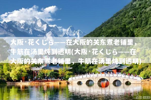 大阪·花くじら——在大阪的关东煮老铺里，牛筋在汤里炖到透明(大阪·花くじら——在大阪的关东煮老铺里，牛筋在汤里炖到透明)
