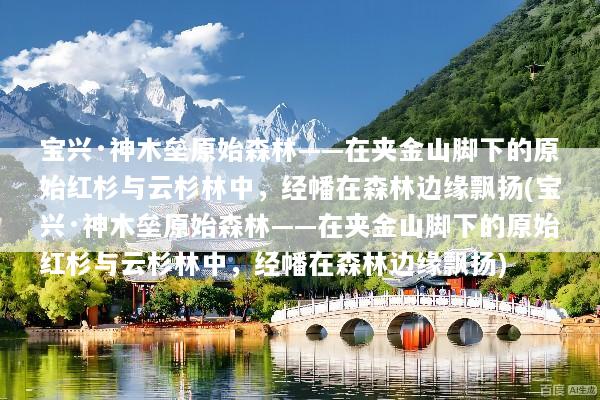 宝兴·神木垒原始森林——在夹金山脚下的原始红杉与云杉林中，经幡在森林边缘飘扬(宝兴·神木垒原始森林——在夹金山脚下的原始红杉与云杉林中，经幡在森林边缘飘扬)