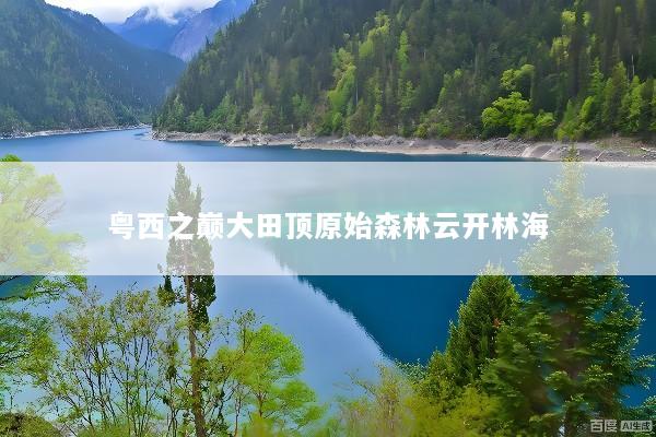 粤西之巅大田顶原始森林云开林海