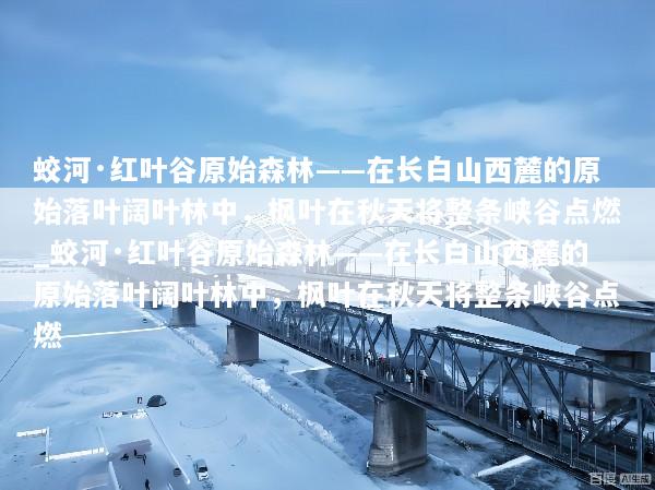 蛟河·红叶谷原始森林——在长白山西麓的原始落叶阔叶林中，枫叶在秋天将整条峡谷点燃_蛟河·红叶谷原始森林——在长白山西麓的原始落叶阔叶林中，枫叶在秋天将整条峡谷点燃