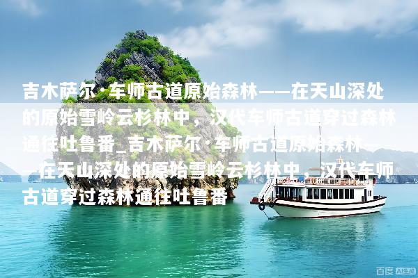 吉木萨尔·车师古道原始森林——在天山深处的原始雪岭云杉林中，汉代车师古道穿过森林通往吐鲁番_吉木萨尔·车师古道原始森林——在天山深处的原始雪岭云杉林中，汉代车师古道穿过森林通往吐鲁番
