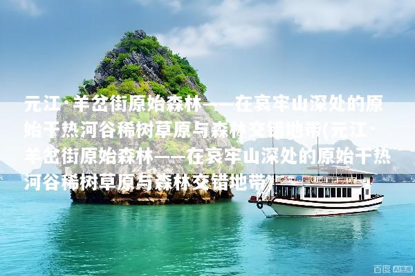 元江·羊岔街原始森林——在哀牢山深处的原始干热河谷稀树草原与森林交错地带(元江·羊岔街原始森林——在哀牢山深处的原始干热河谷稀树草原与森林交错地带)