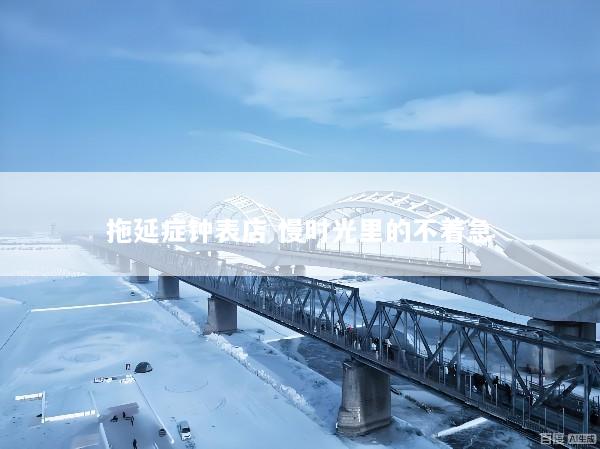 拖延症钟表店 慢时光里的不着急