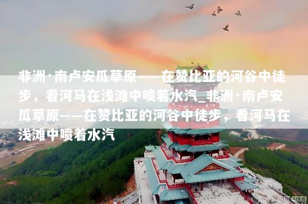 非洲·南卢安瓜草原——在赞比亚的河谷中徒步，看河马在浅滩中喷着水汽_非洲·南卢安瓜草原——在赞比亚的河谷中徒步，看河马在浅滩中喷着水汽