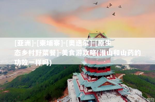 [亚洲]-[柬埔寨]-[奥迭尔]-[原生态乡村野菜餐]-美食游攻略(淮山和山药的功效一样吗)