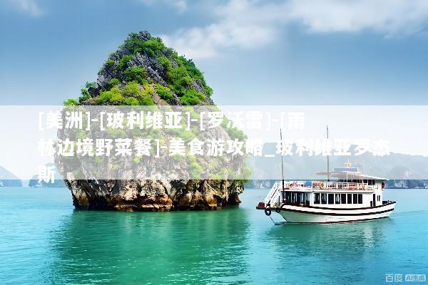 [美洲]-[玻利维亚]-[罗沃雷]-[雨林边境野菜餐]-美食游攻略_玻利维亚罗杰斯